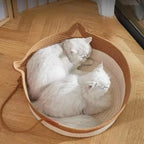 Pet Cat Bed Round Hand Woven Rattan Wear-resistant Cat Bed Summer Cooling Pet Bed Indoor Sleeping House Pet Products Accessories