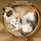 Two cats sharing the rattan bed