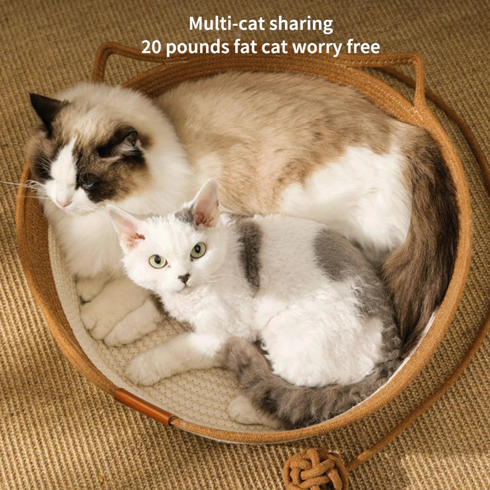 Two cats sharing the rattan bed