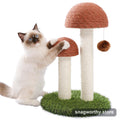 Ragdoll kitten playing with two mushroom-shaped sisal scratching posts | Snagworthy.store