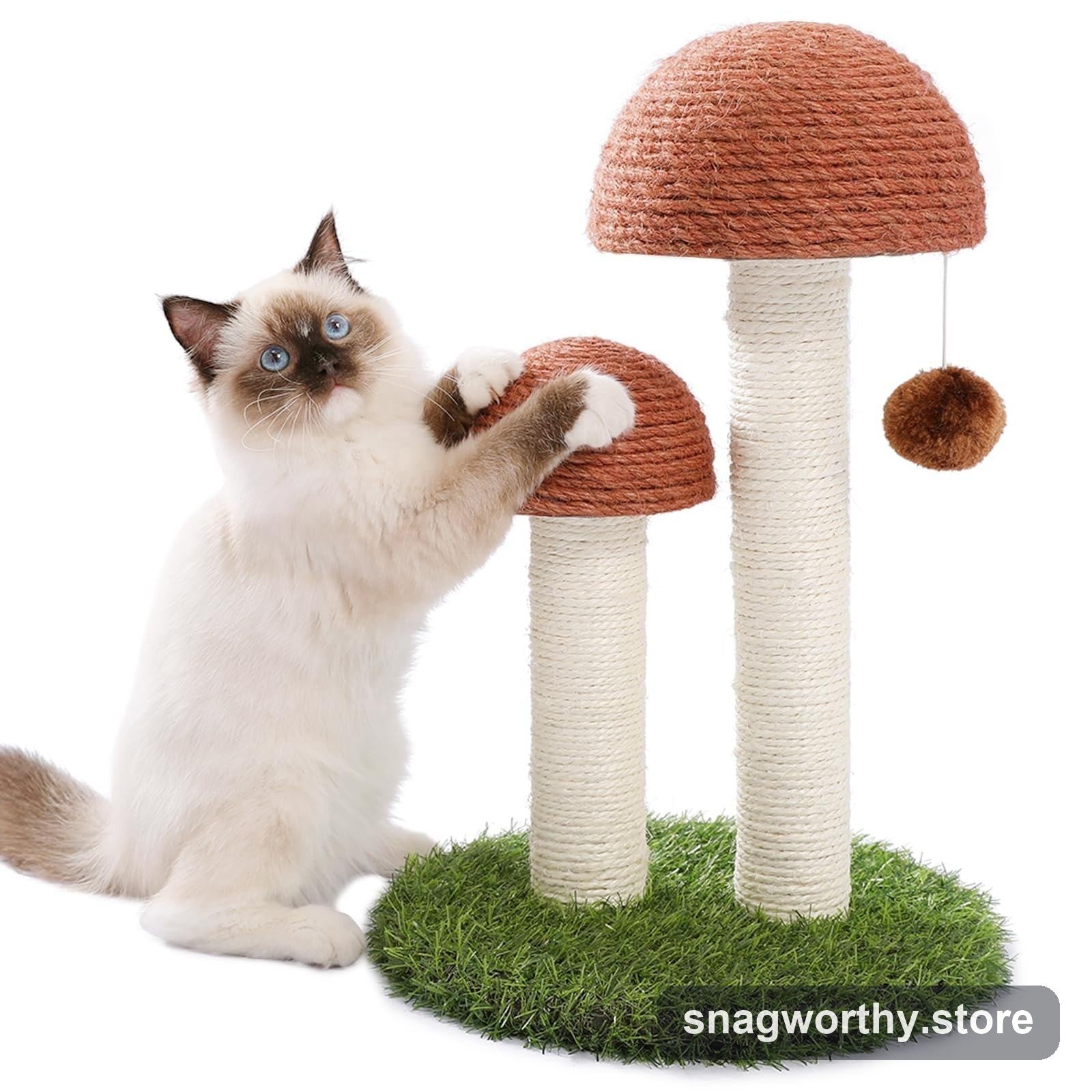 Ragdoll kitten playing with two mushroom-shaped sisal scratching posts | Snagworthy.store