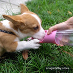 RoamCup portable dog water bottle | Snagworthy.store