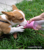 RoamCup Portable Dog Water Bottle in use | Snagworthy.store
